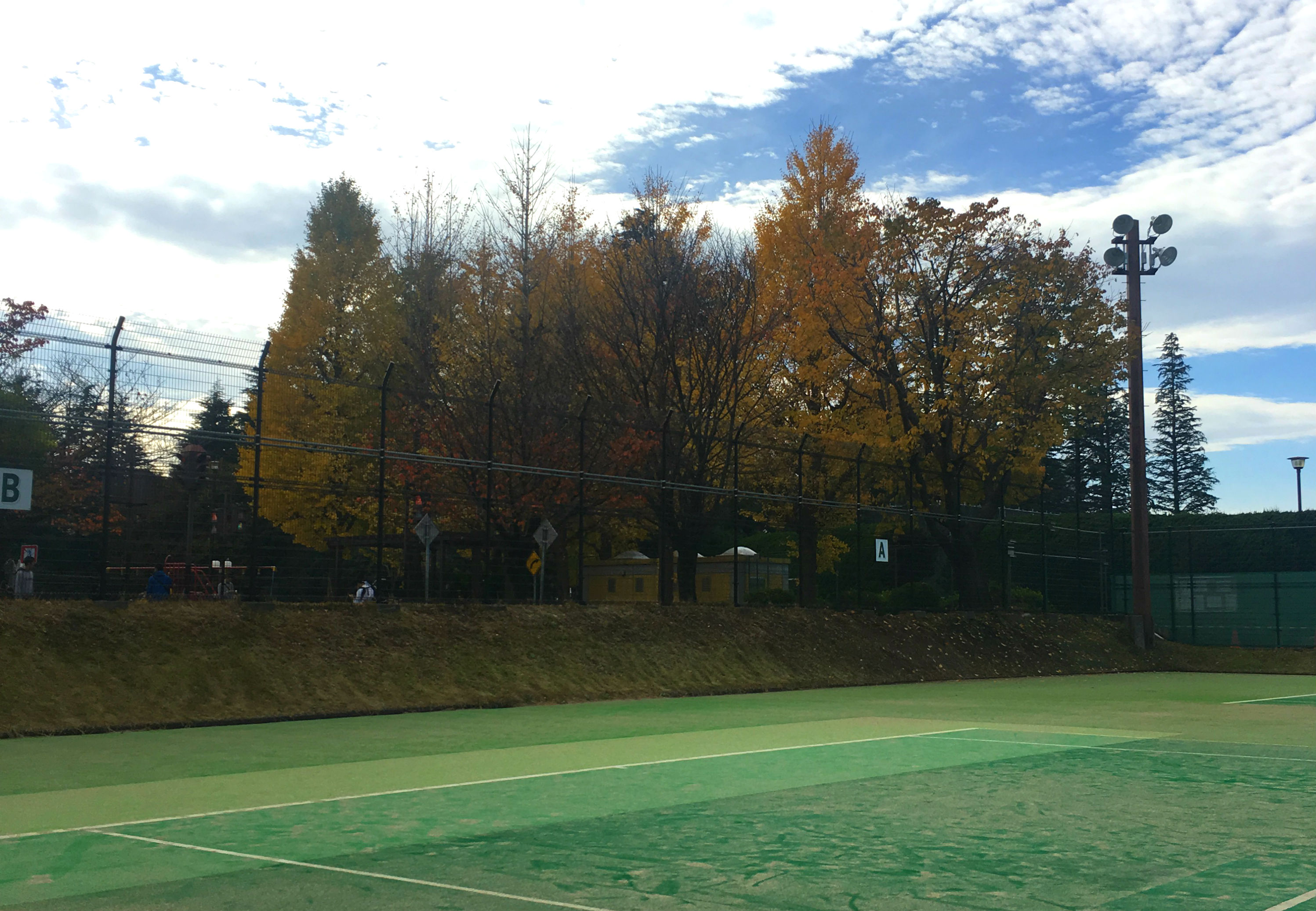 tennis court green