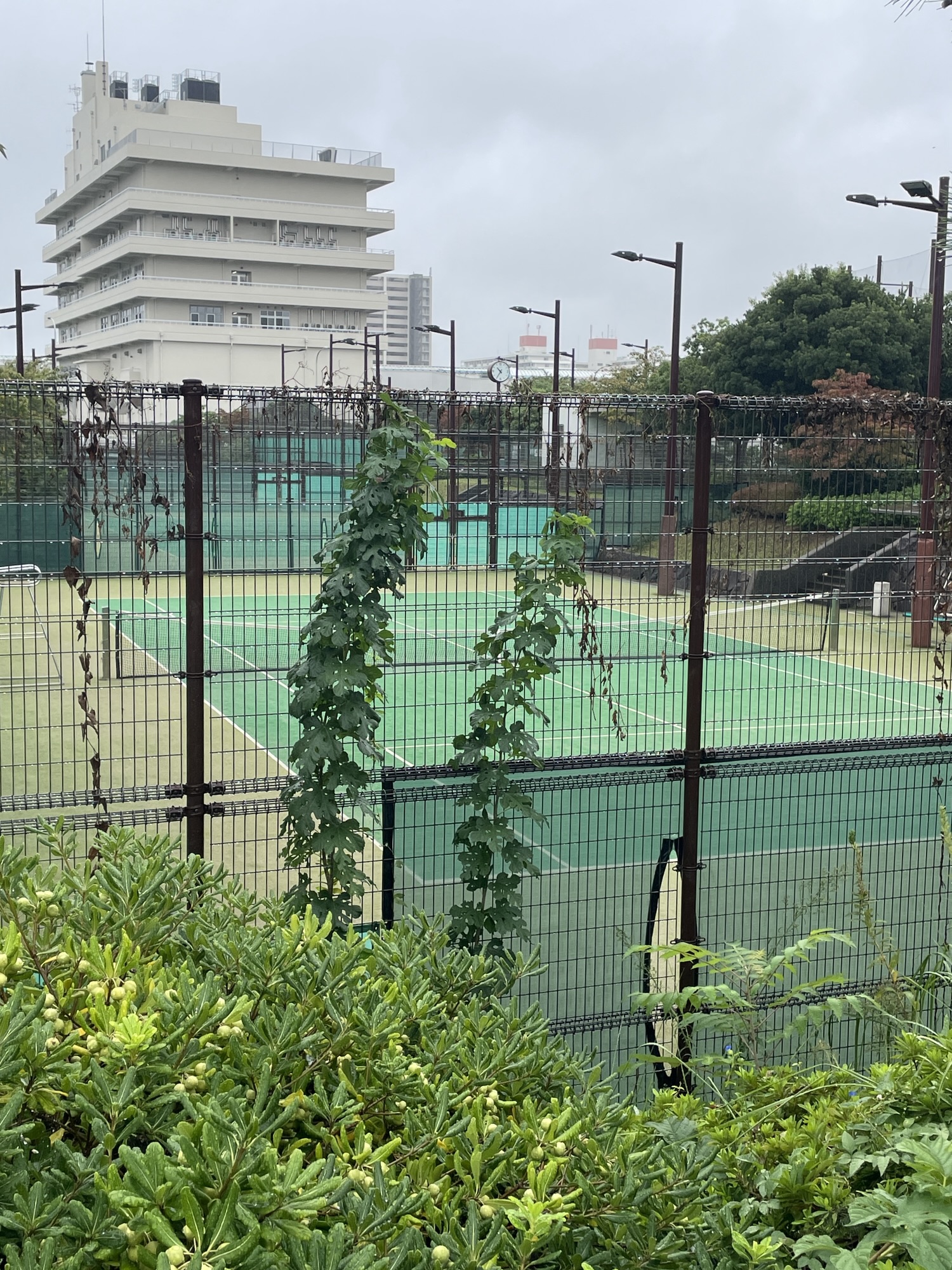 大島小松川公園のオムニコート