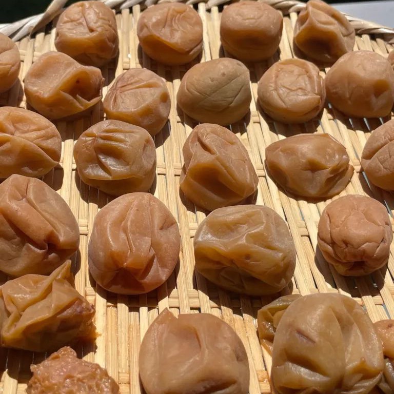 banner top food category