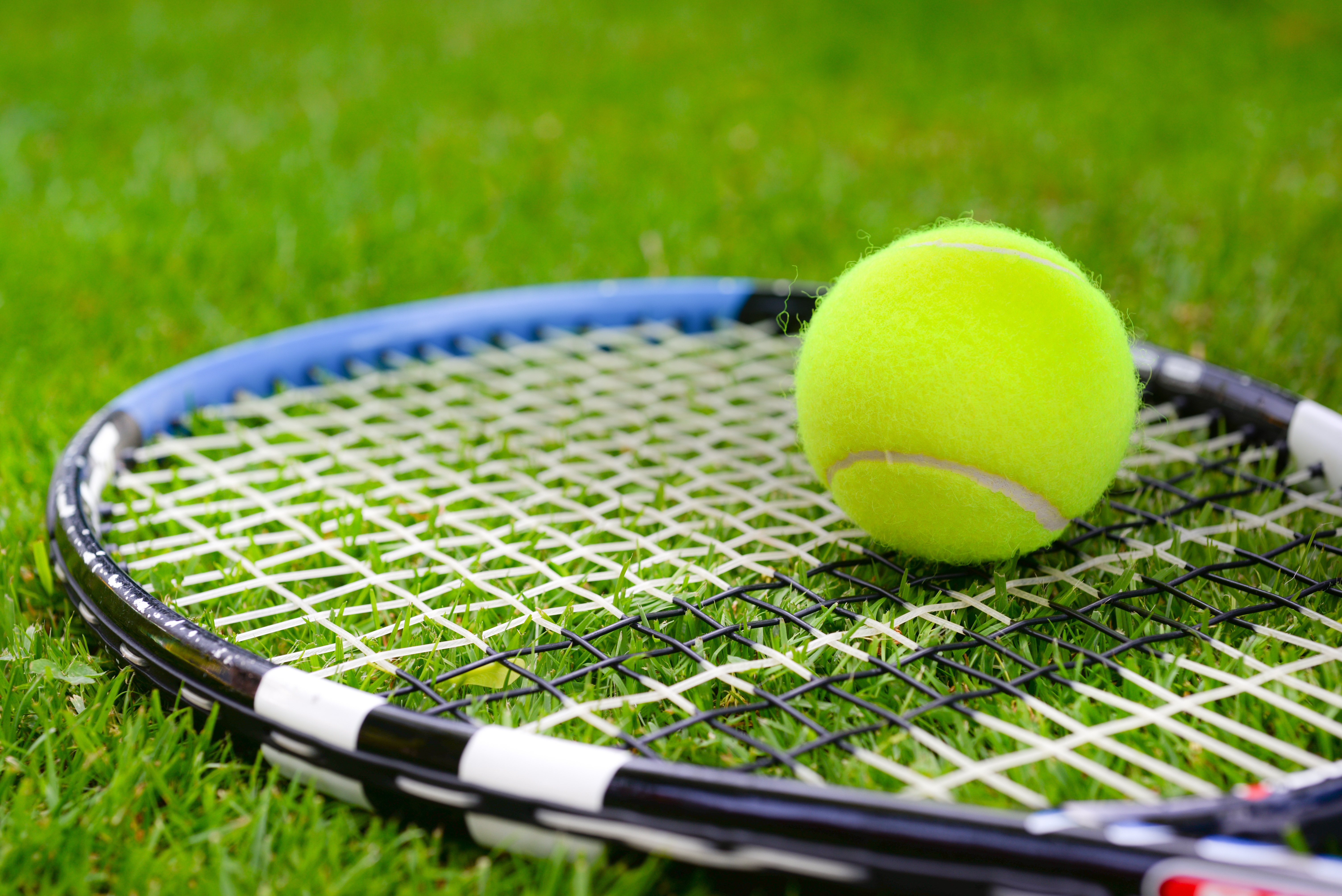 grass tennis court